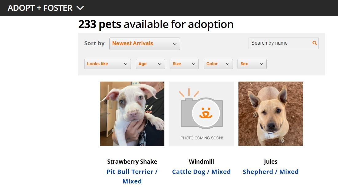 A screenshot of the dog adoption page of bestfriends.org