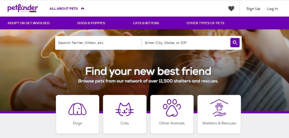 A screenshot of the home page of petfinder.com