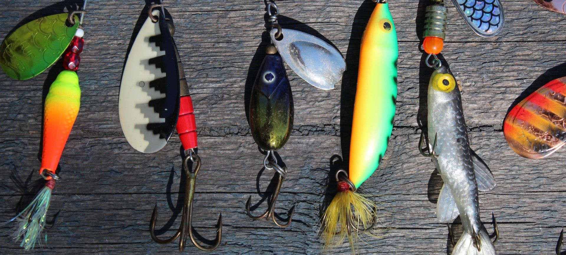 Photo of Colorful Fish Baits