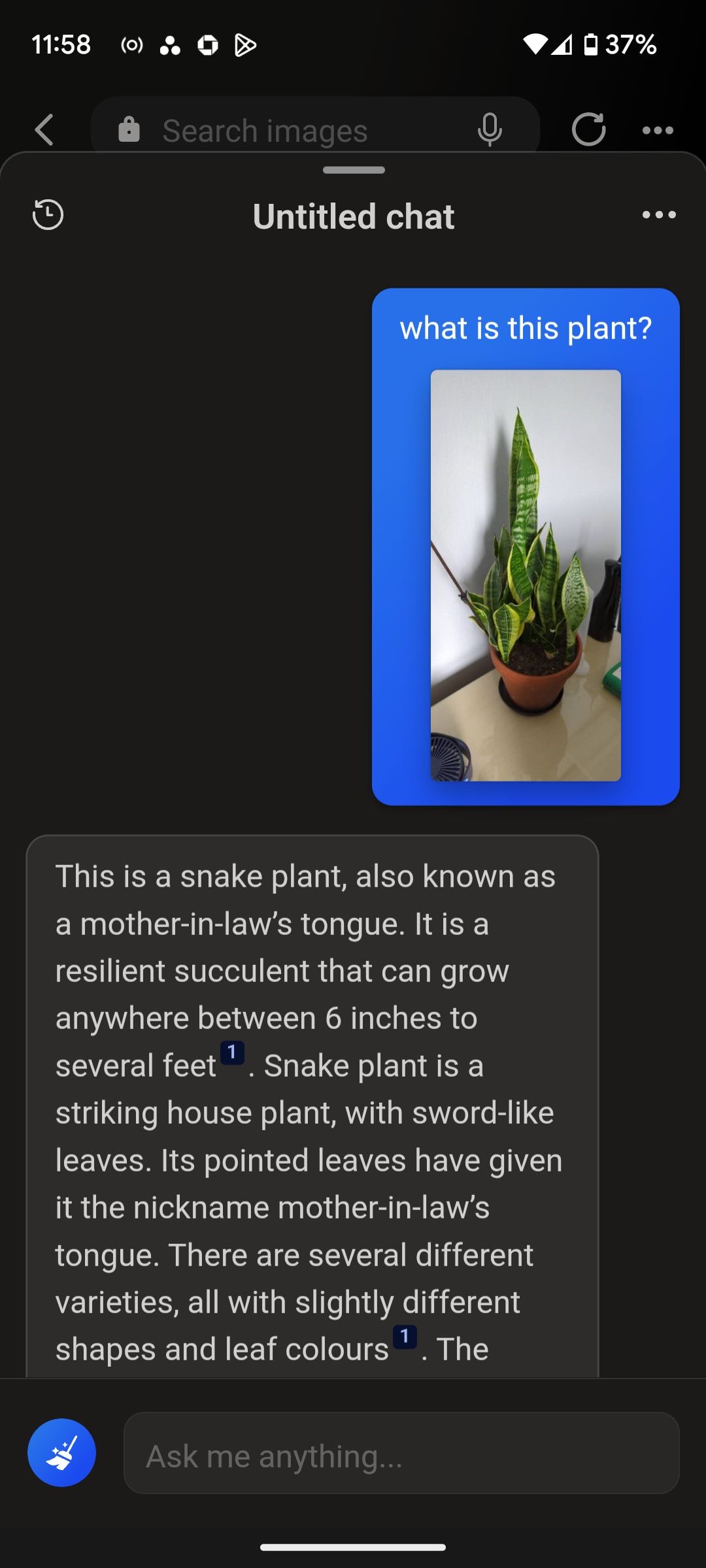 bing chat plant identifier
