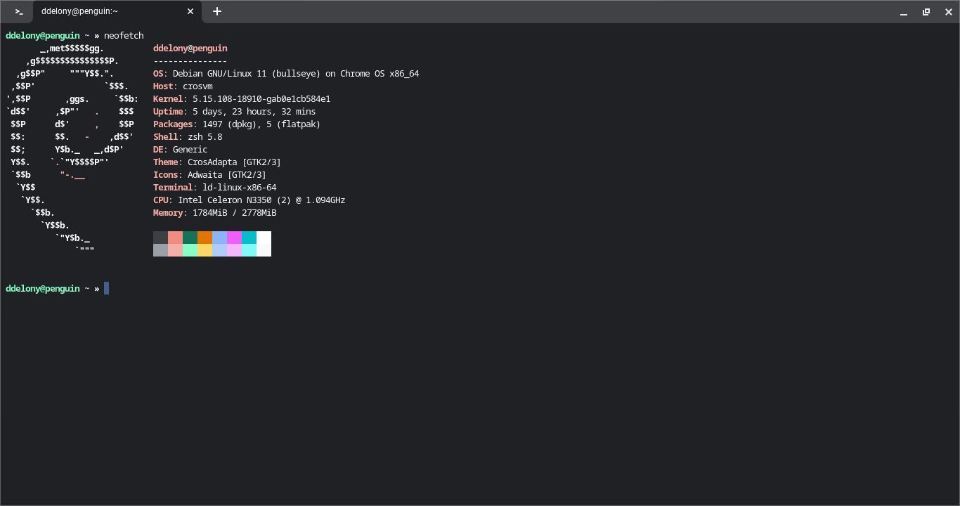 محیط توسعه Chrome Linux در حال اجرا Neofetch