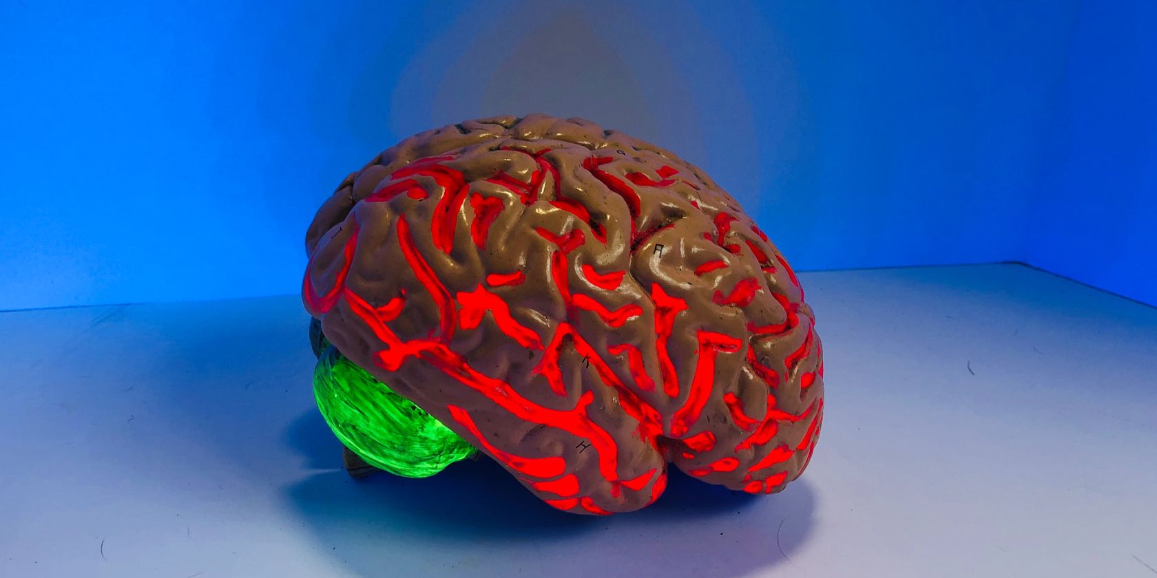 Colorful brain model on desk