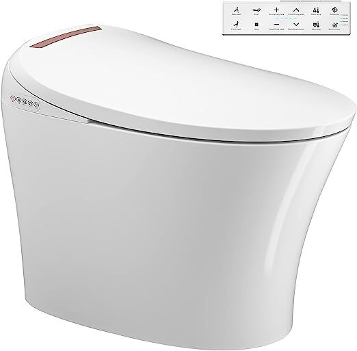 Cosvalve smart toilet