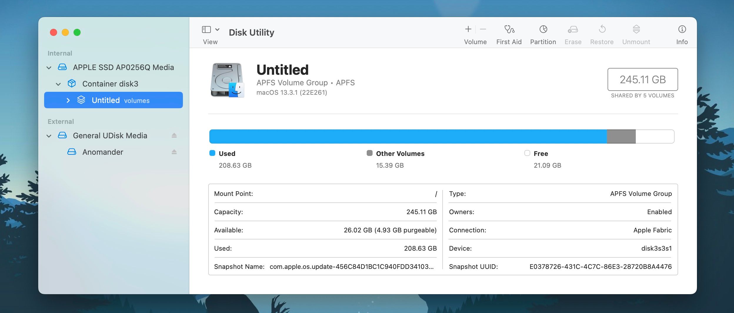 Disk Utility displaying internal drive's storage space
