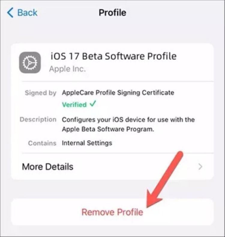 Hapus Pengaturan Profil untuk Menurunkan iOS 17 ke iOS 16