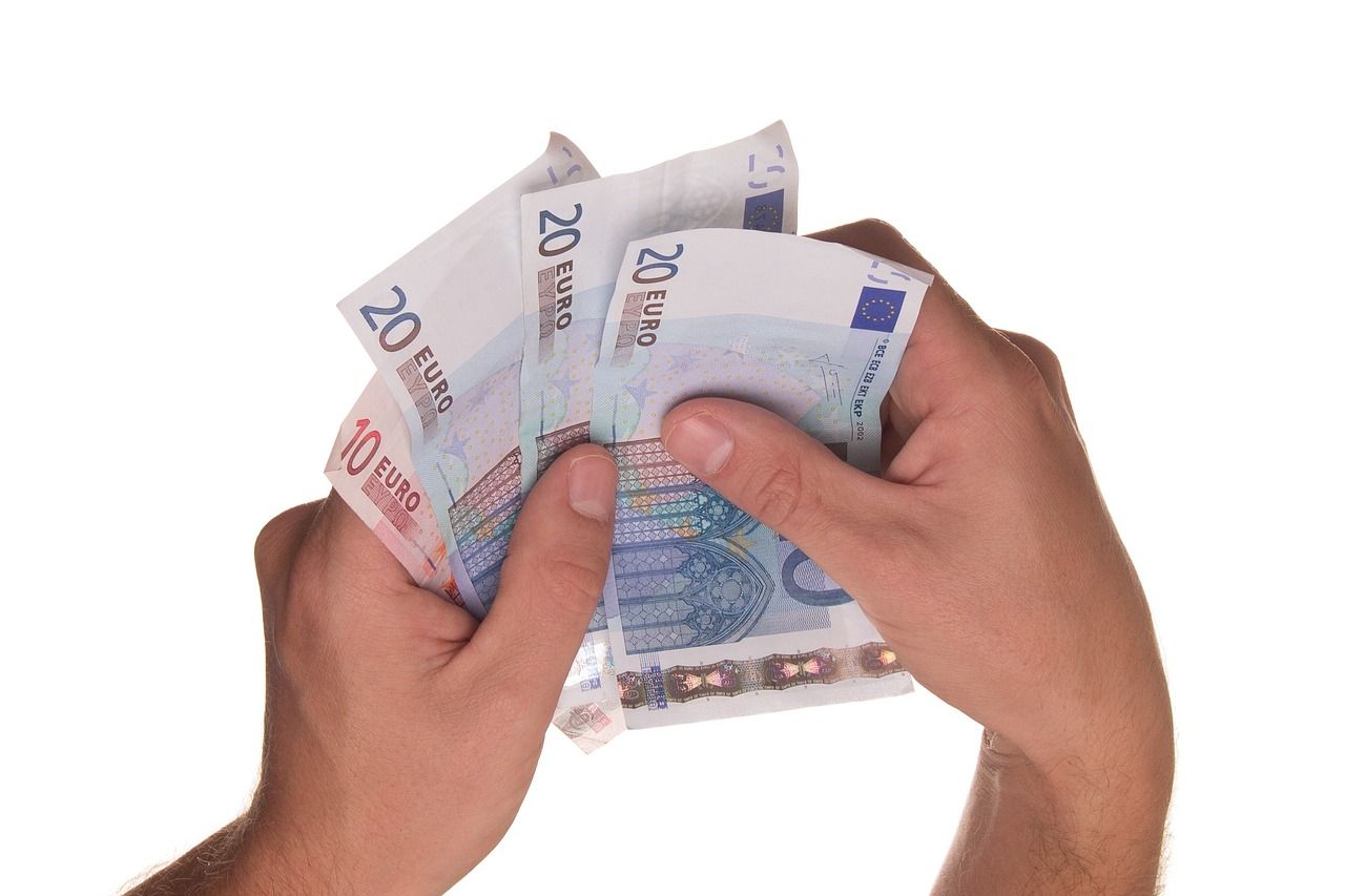 Euros notes in a hand