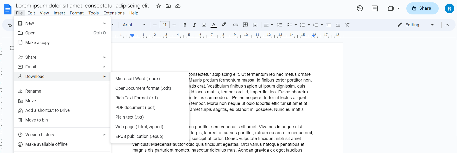 Google Docs File Format