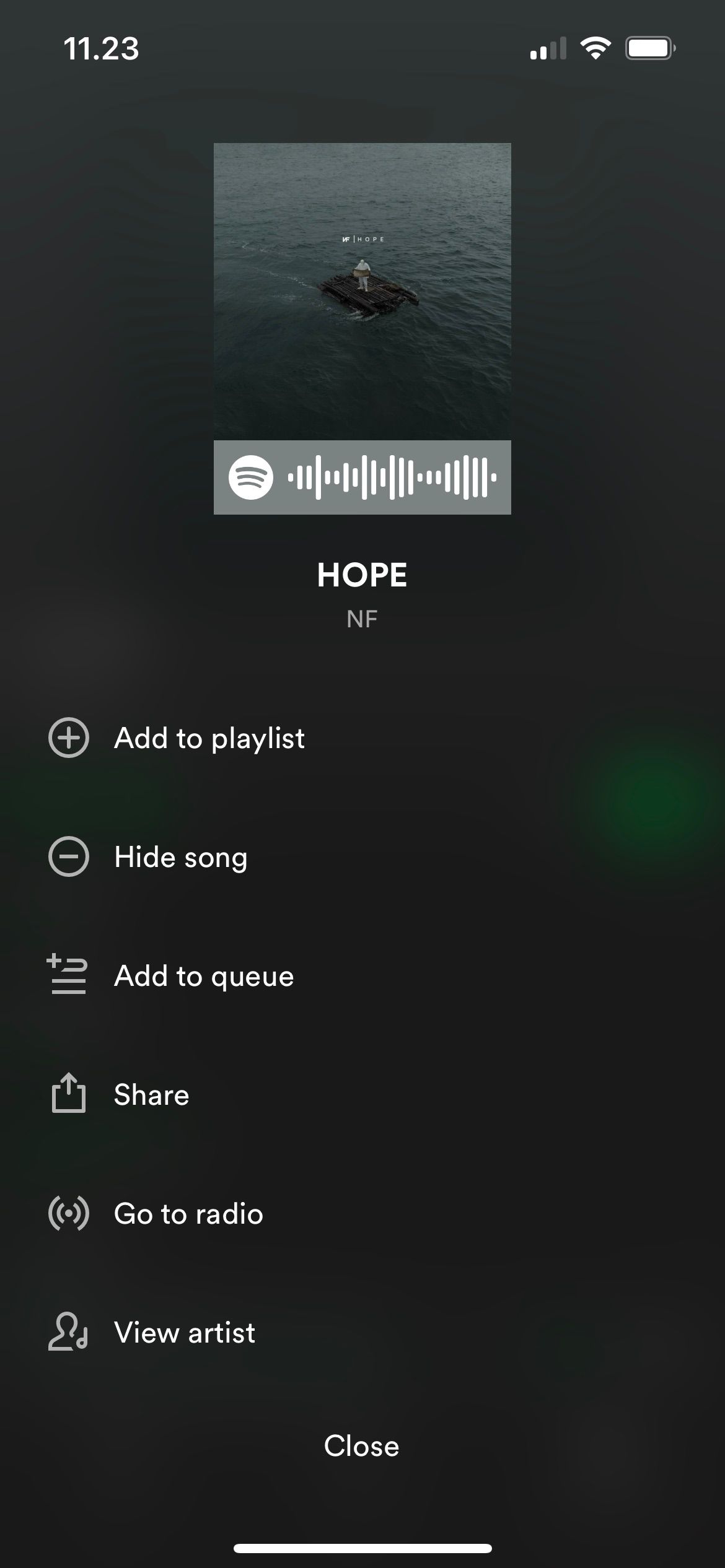 Hide a Spotify Song on iOS