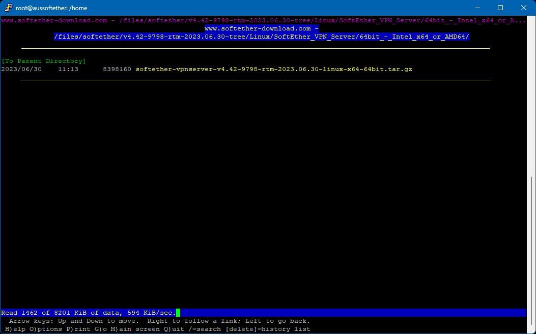 Linux terminal showing Lynx browser and download link
