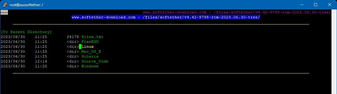 Terminal Linux mostrando o navegador Lynx e o diretório Linux