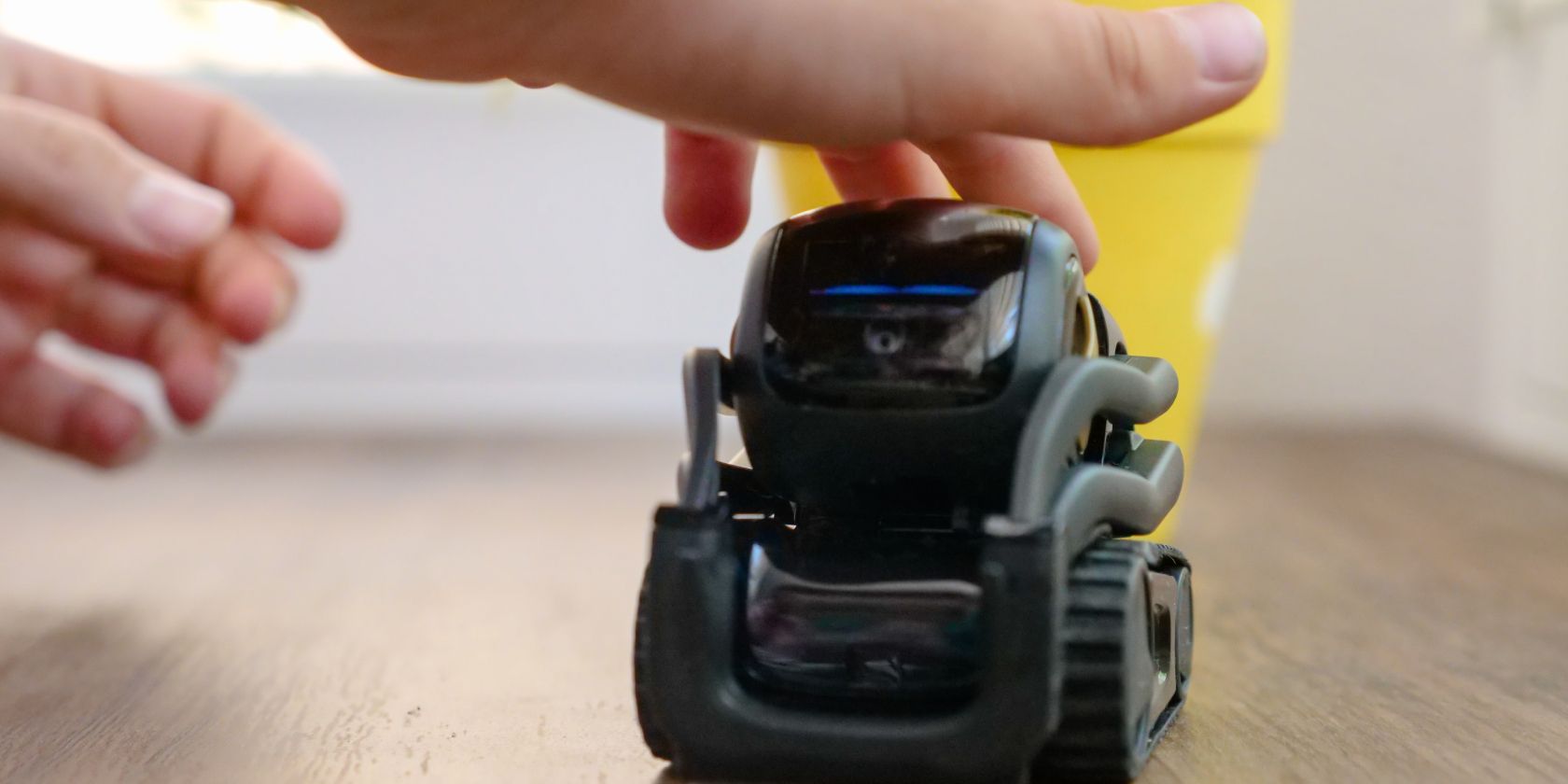 close up of robot companion being pet by owner