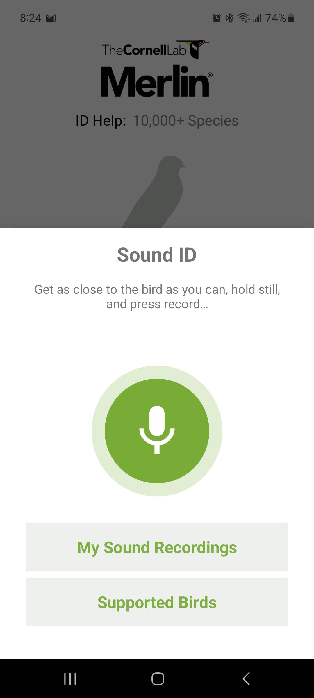 اسکرین شات از صفحه ضبط صدا برنامه Merlin Bird ID