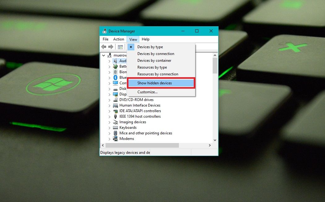 The show hidden devices option on the Device Manager page