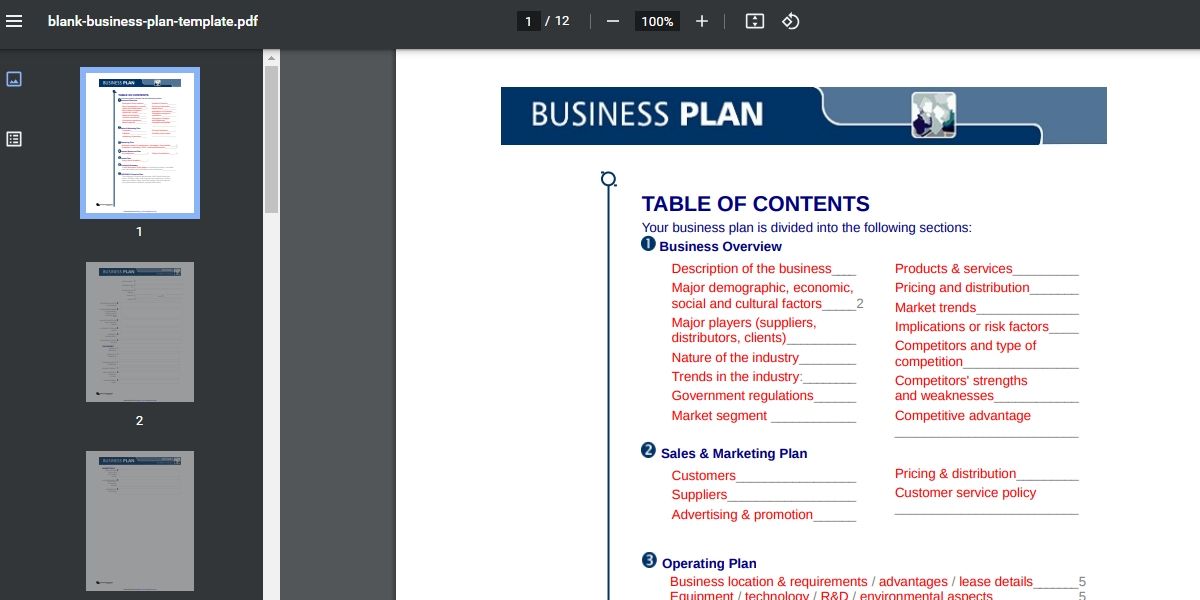 Tidyform pdf business plan template