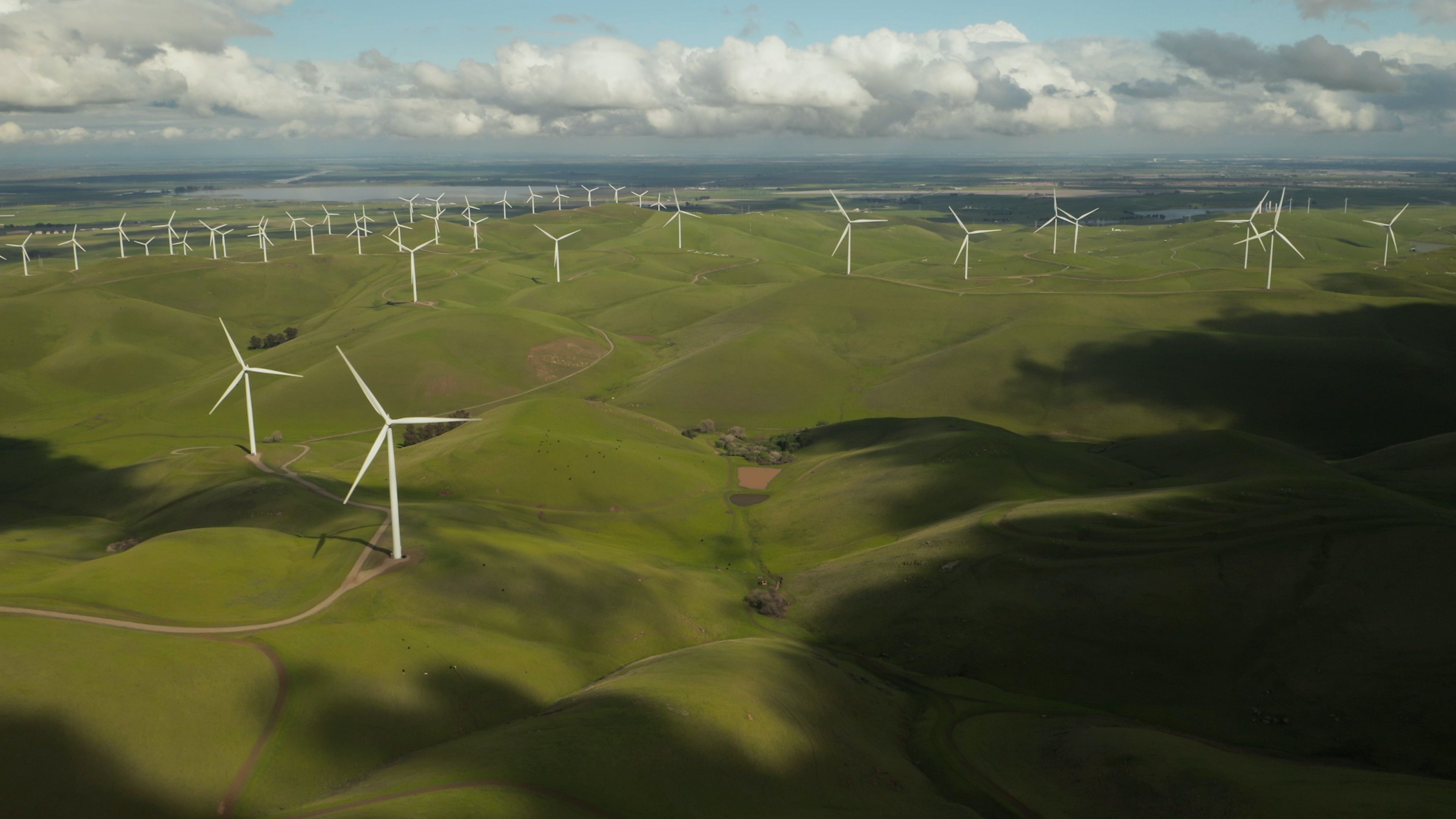 Many white wind turbines among rolling green hills.
