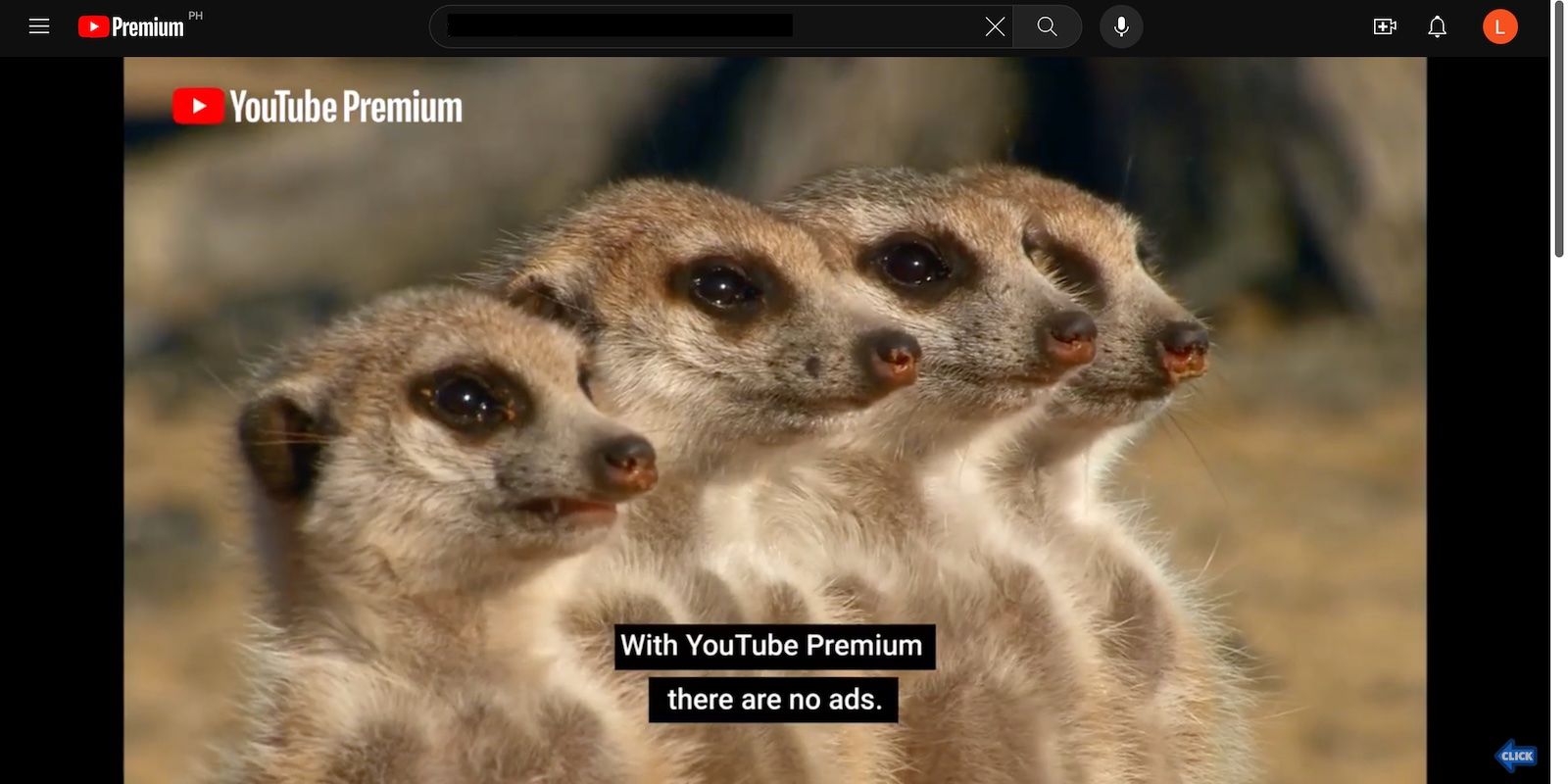 آگهی با Meerkats برای YouTube Premium