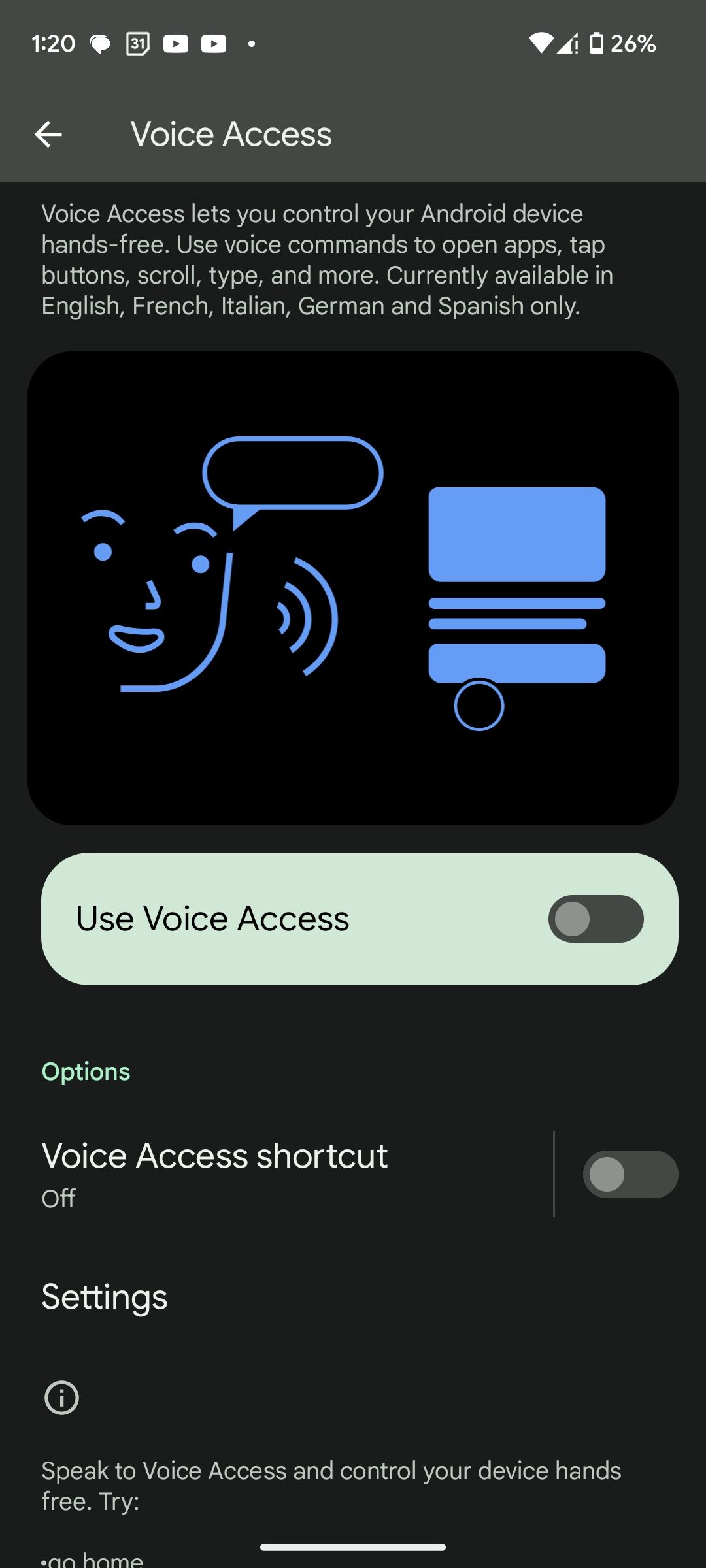 Voice Access settings page
