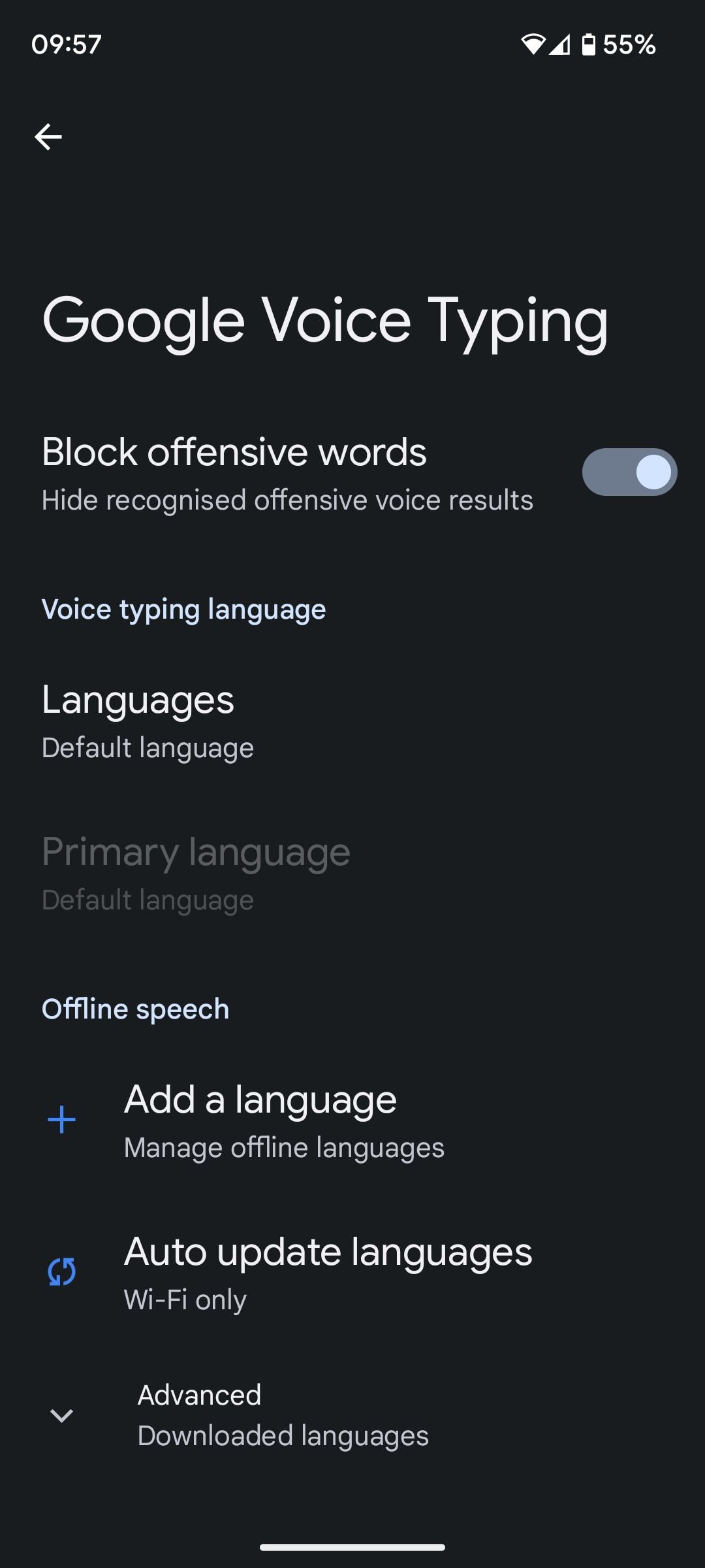 block offensive words in google voice typing