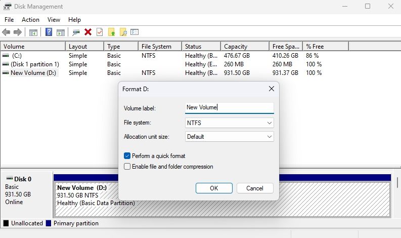 Опция файловой системы в инструменте управления дисками