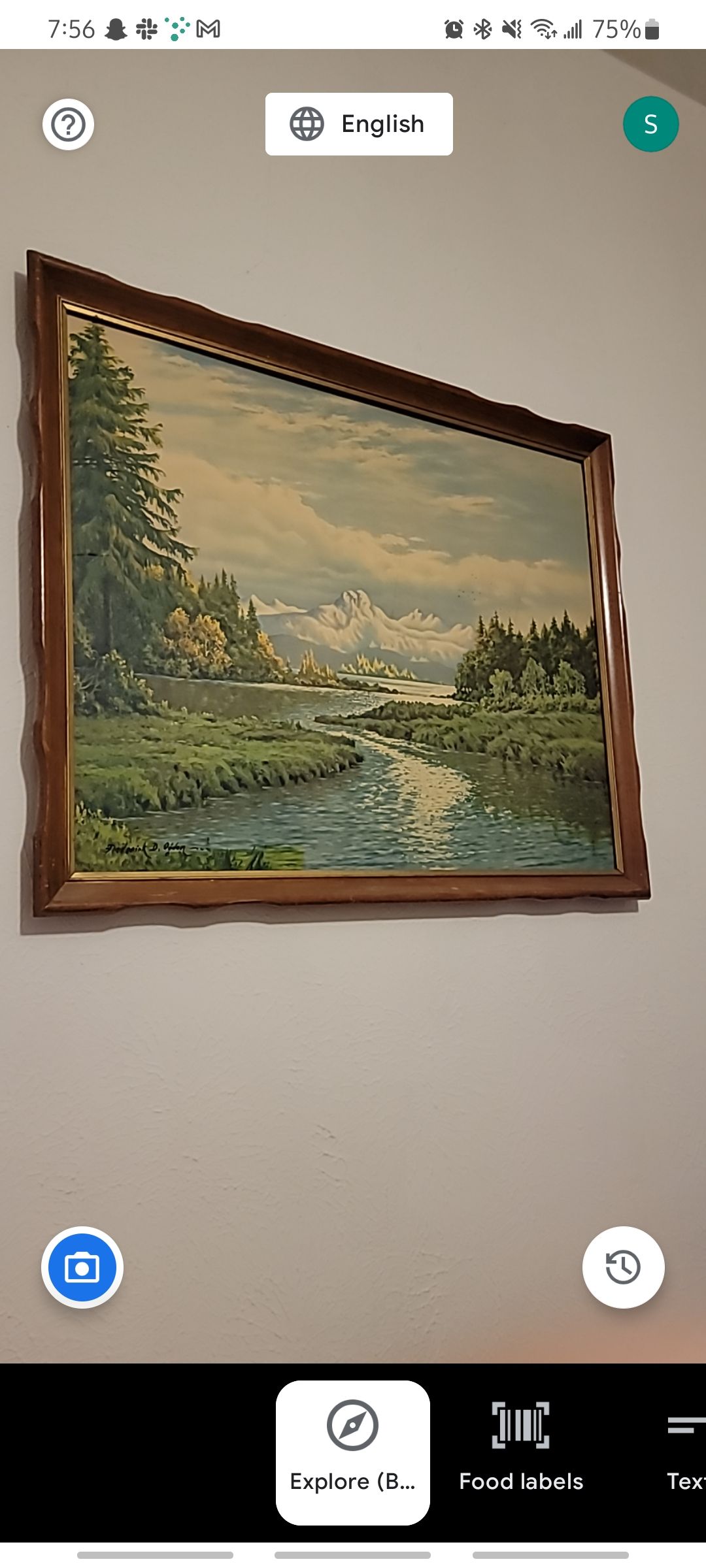 identifying a painting in google lookout