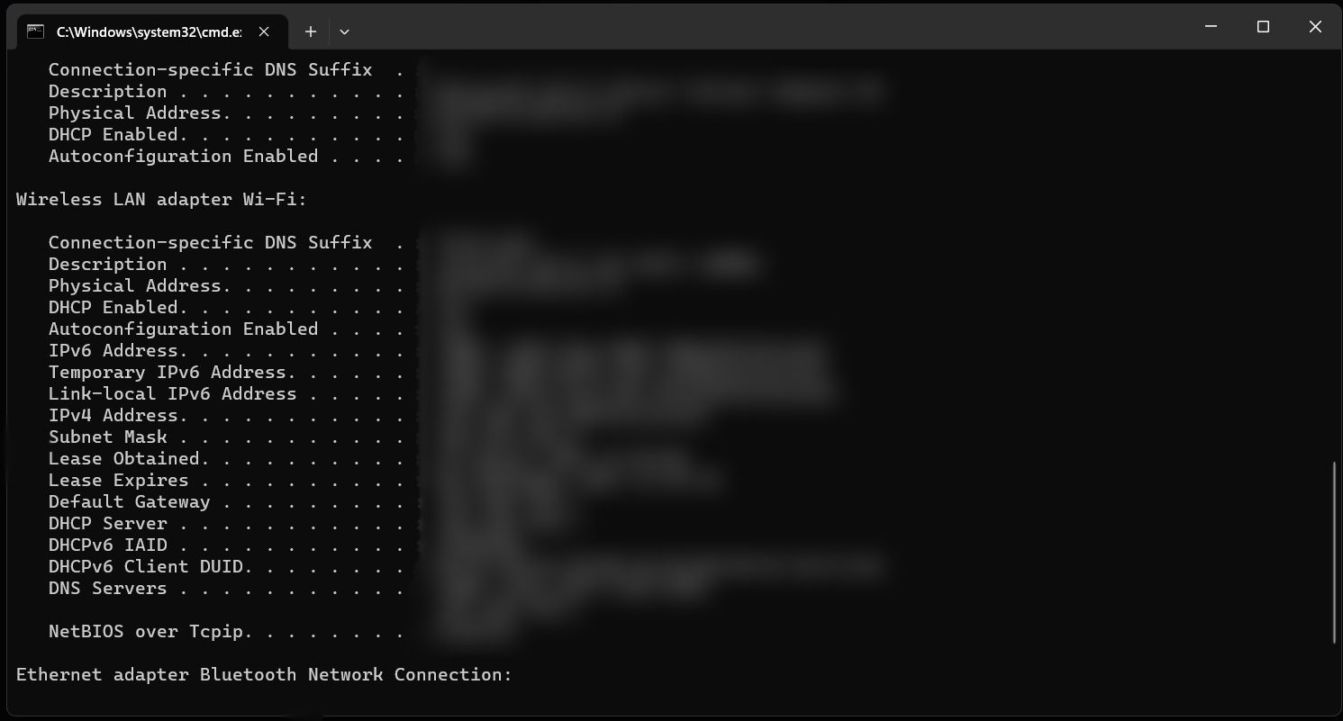 screenshot of command line terminal ip configuration results