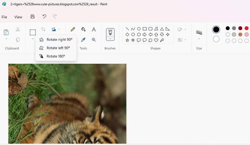 6 Ways to Rotate Images on a Windows 11 PC