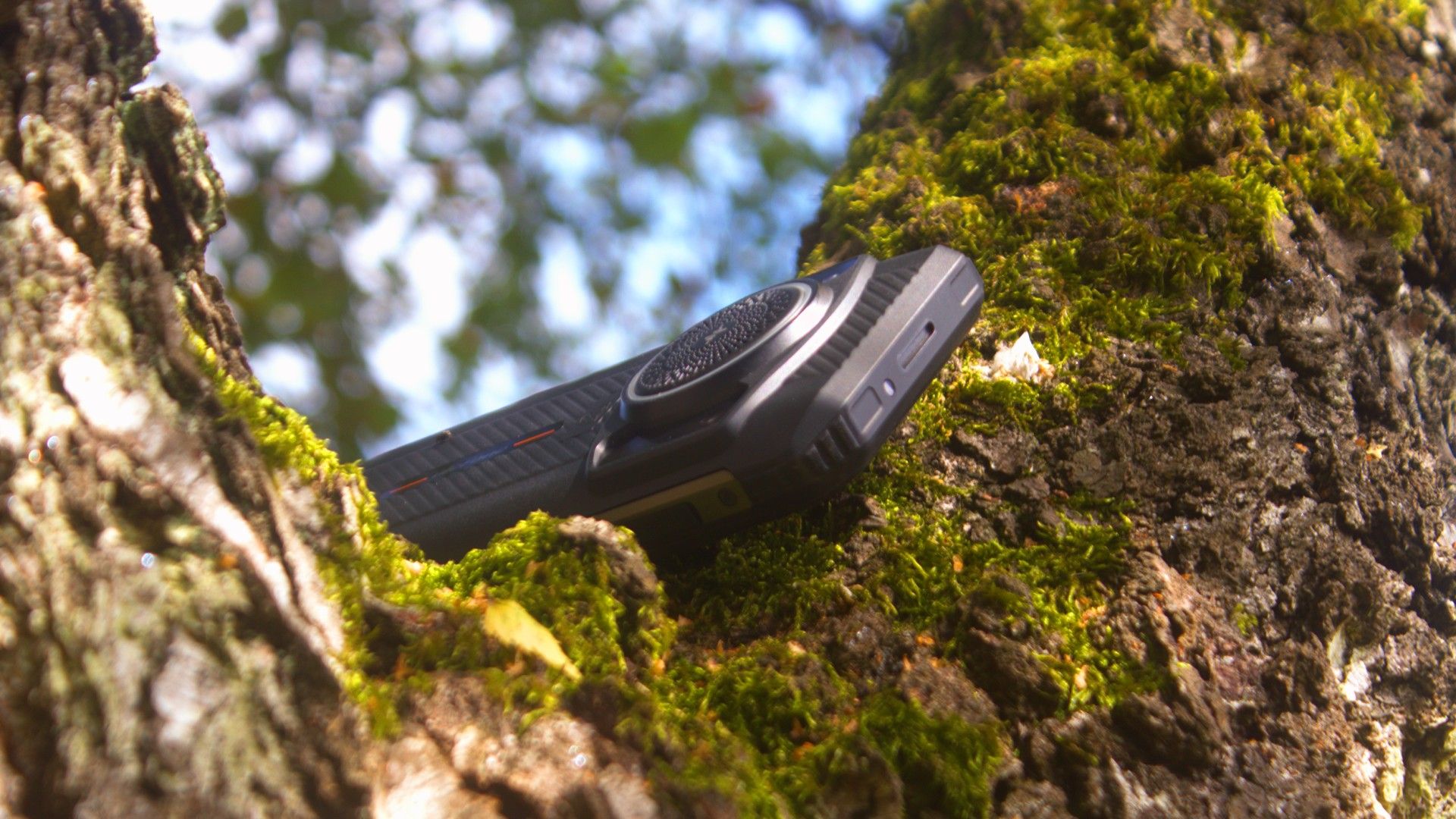 photograph of the armor 21 set in the crook of a tree with a bright blue background