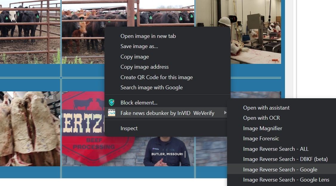 Pesquisa reversa da imagem usando a extensão Fake News Debunker no Chrome