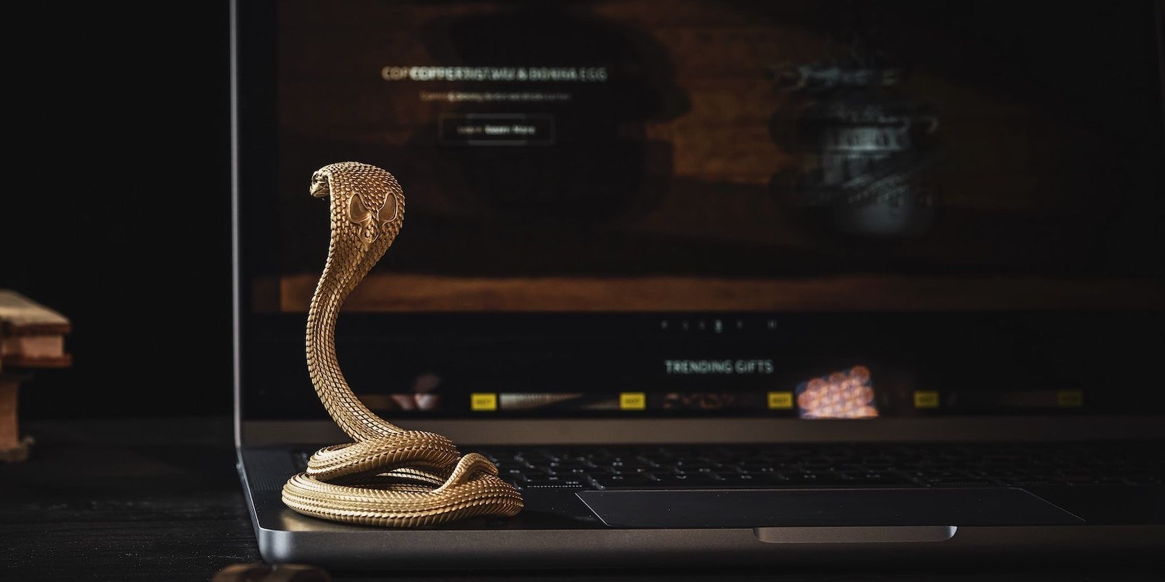 Snake on a laptop