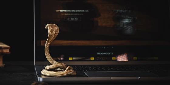 Snake Ransomware Endangers Your Data: How Can You Stop It?