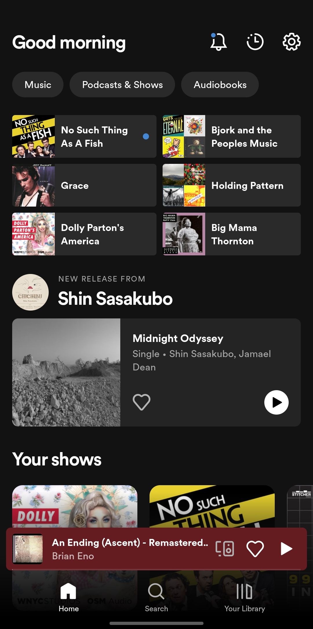 اسکرین شات موبایل صفحه اصلی برنامه Spotify