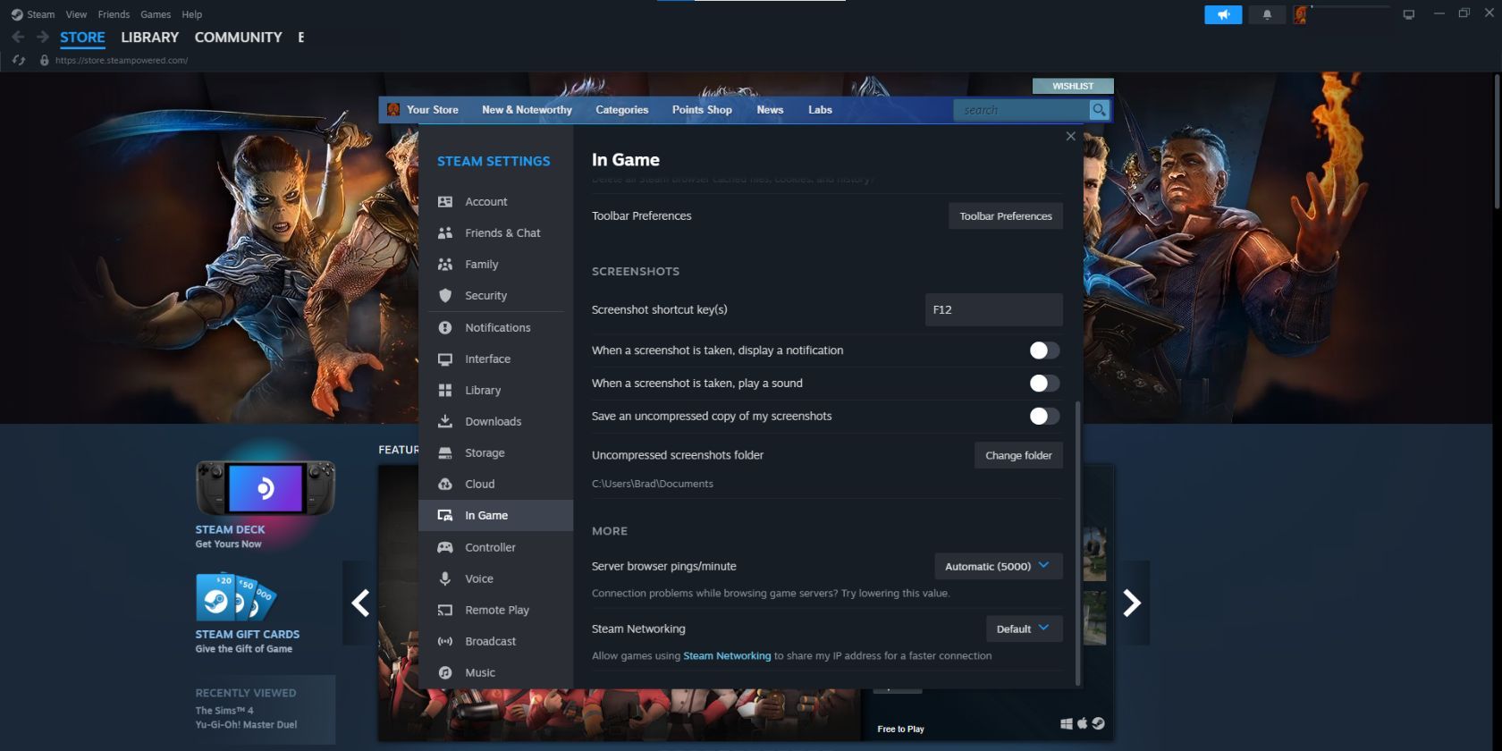 The In Game settings menu on Steam