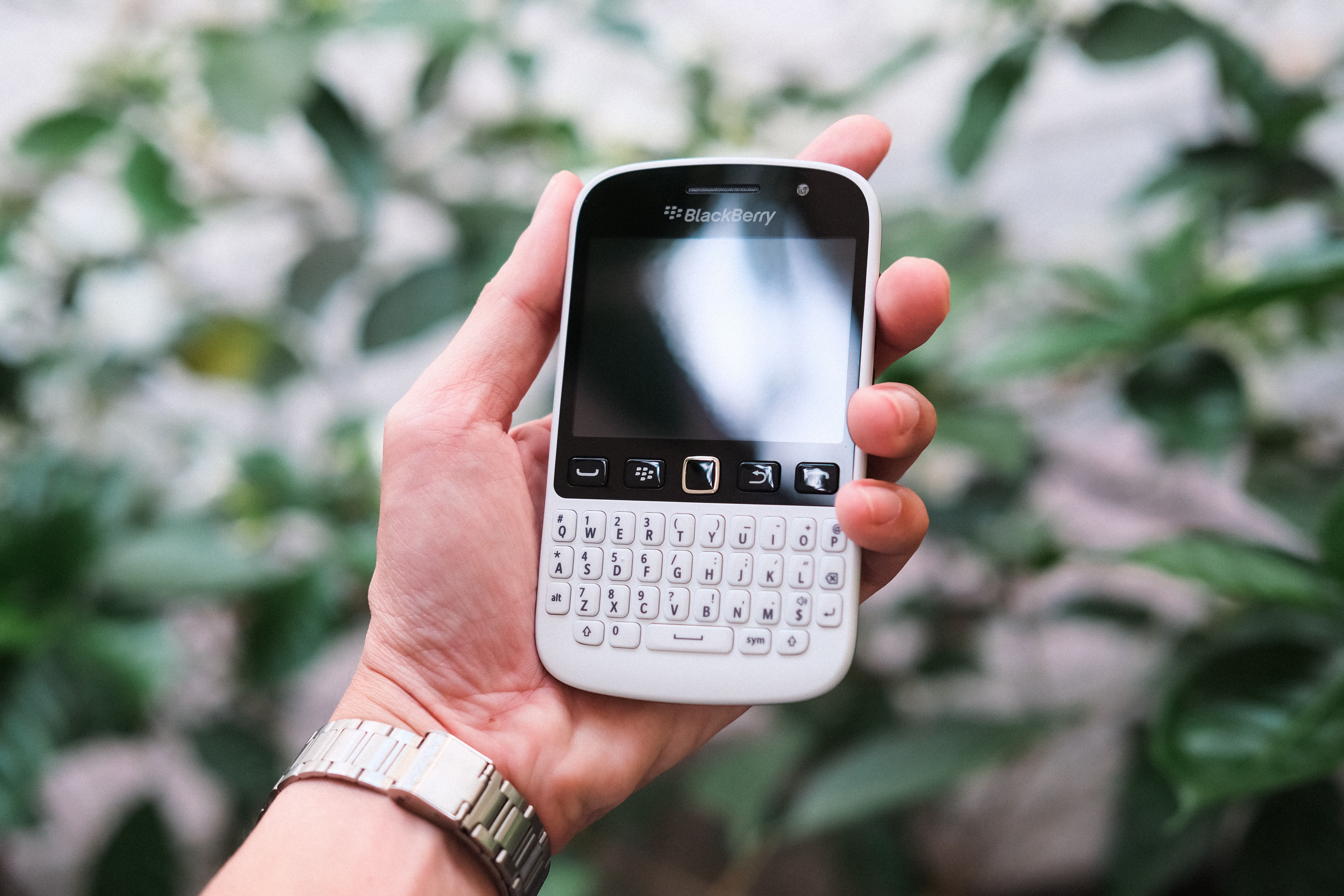 photo of a person holding a blackberry smartphone