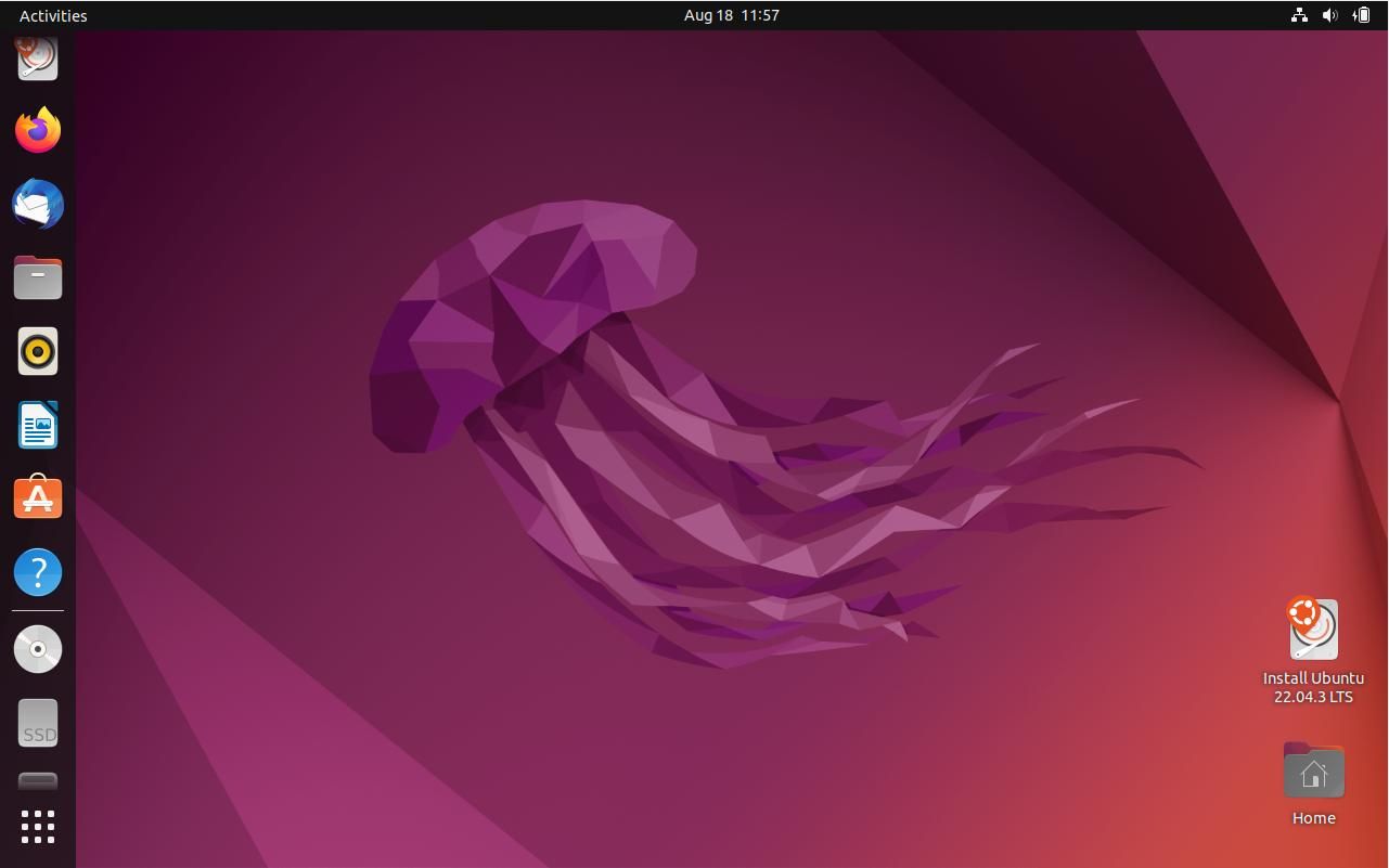 ubuntu desktop with home and install icons