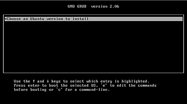 ubuntu grub with a single option-1