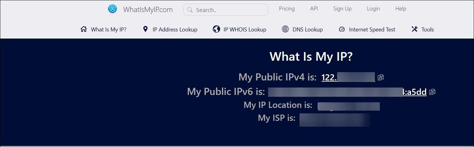 whatismyip online public ip address tool