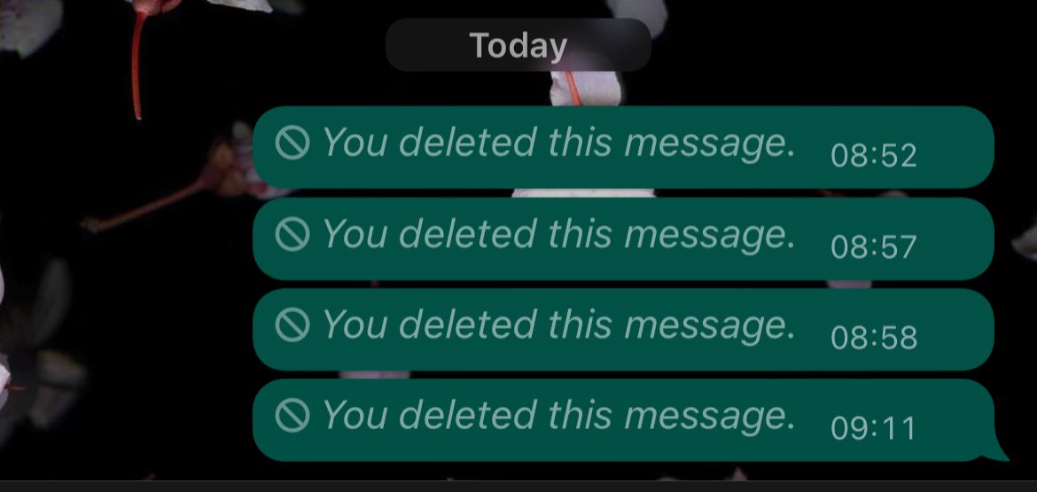 WhatsApp exibindo sombra ‘Você excluiu esta mensagem’ quatro vezes