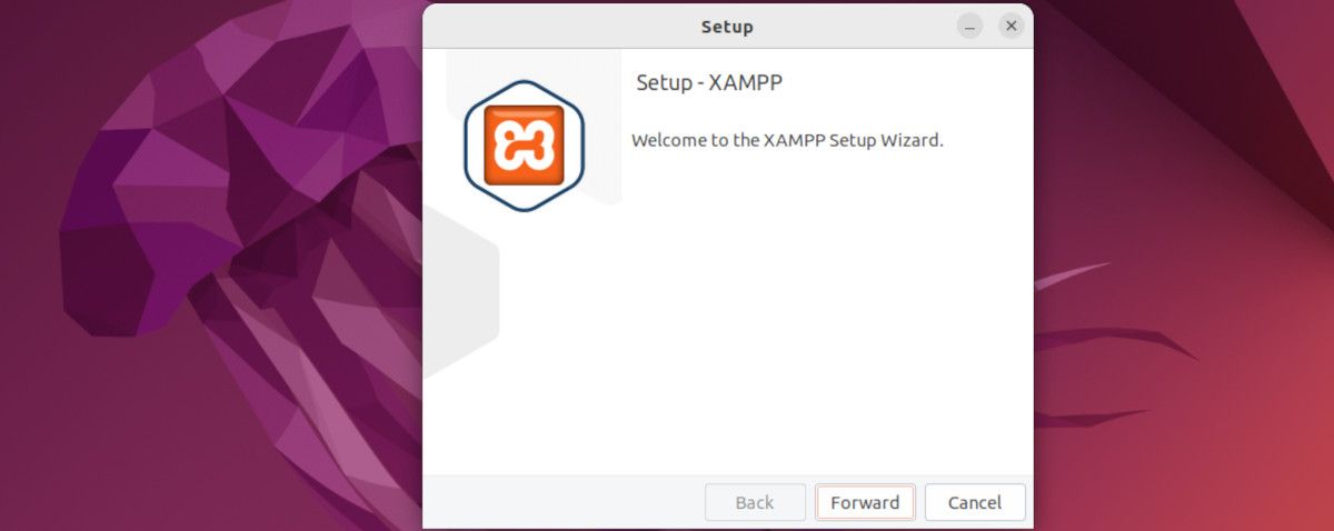 xampp initial installation page on linux