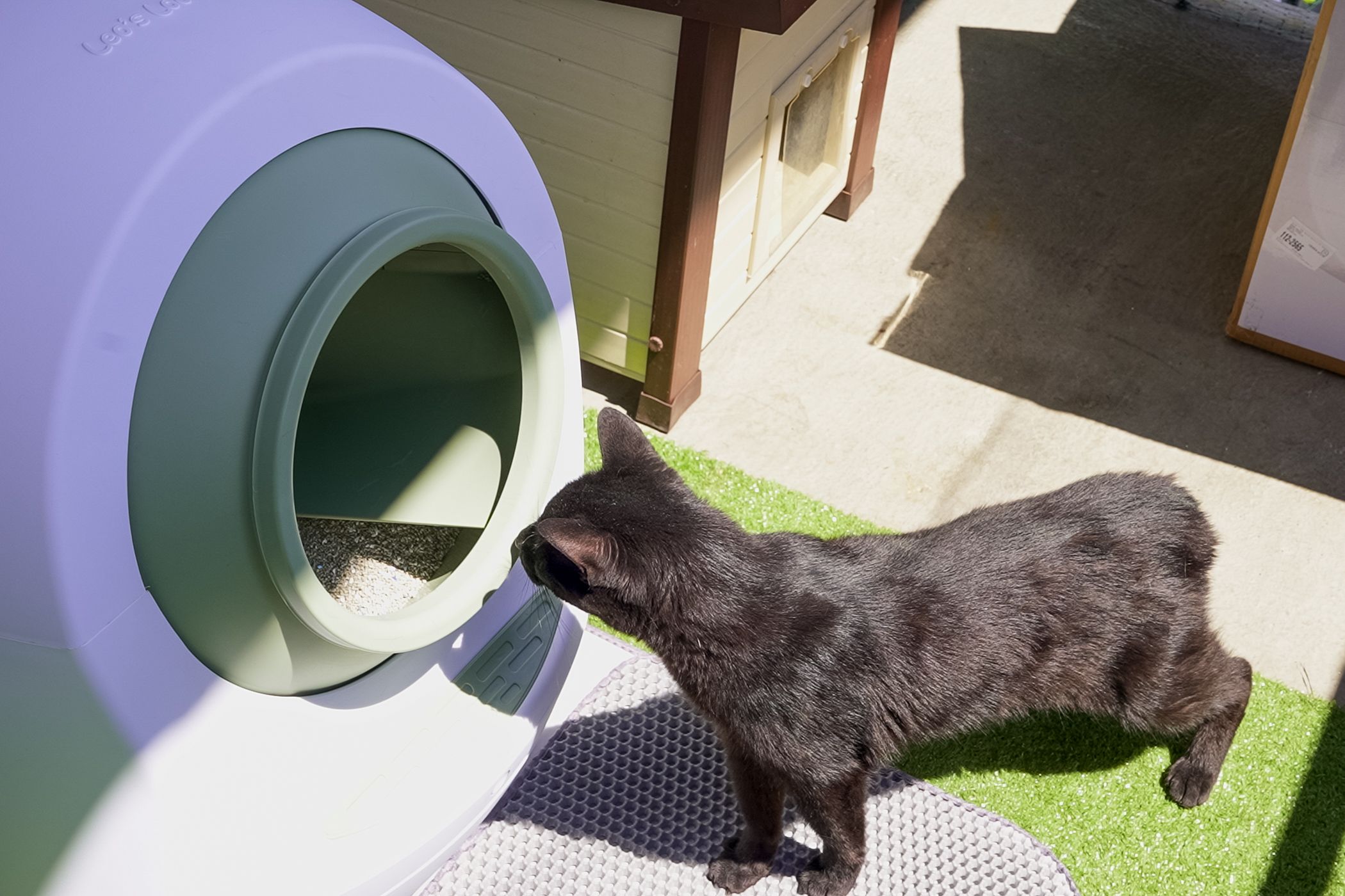 Casa Leo's Loo Too Review: My Cats Have a Fancier Toilet Than Me