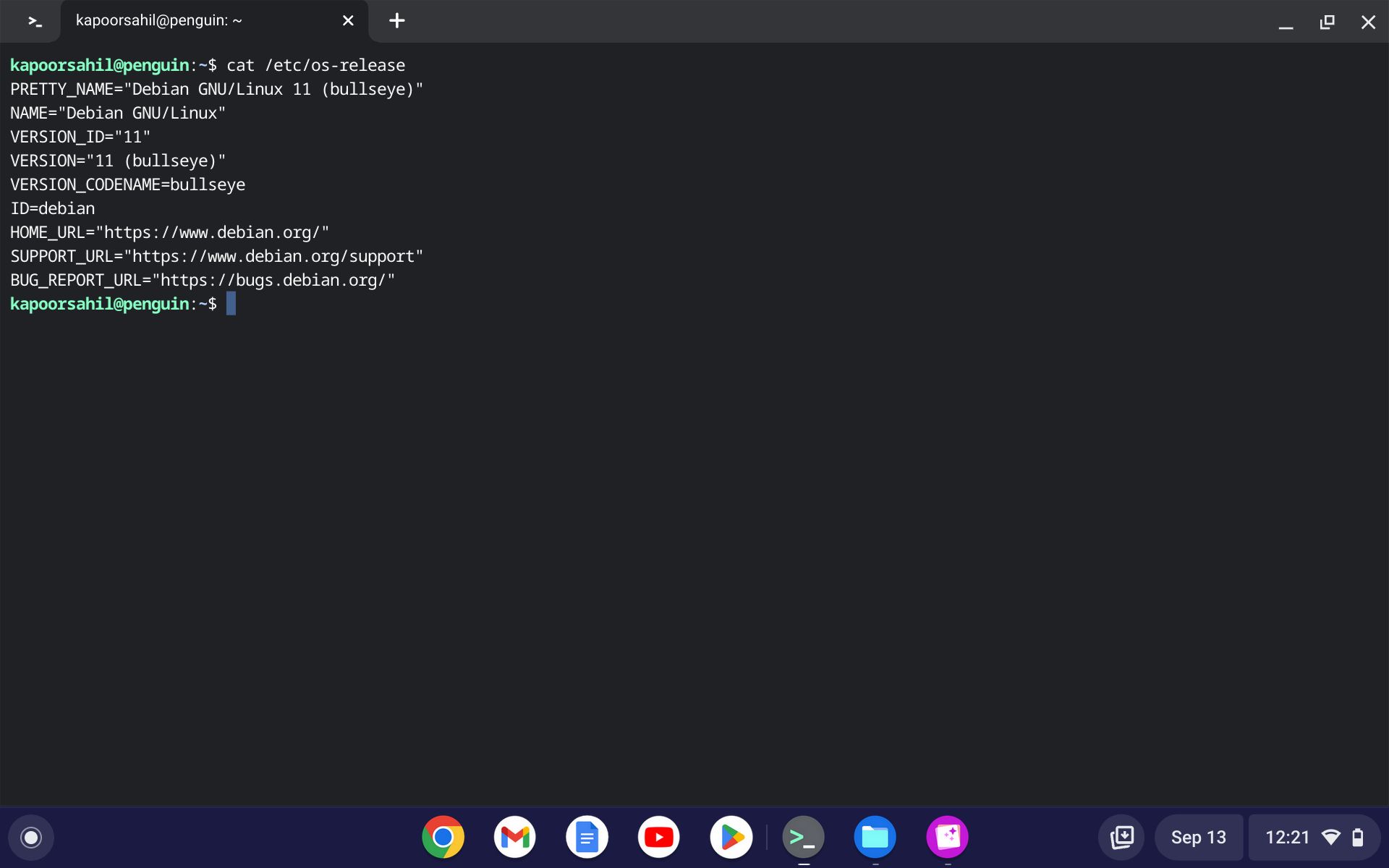 Código do terminal do Chromebook para verificar a versão do sistema operacional