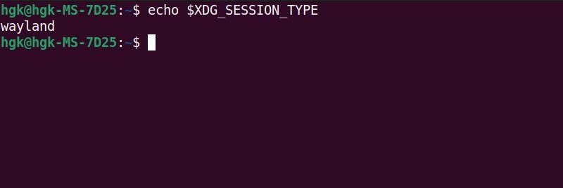 checking system display server type in terminal