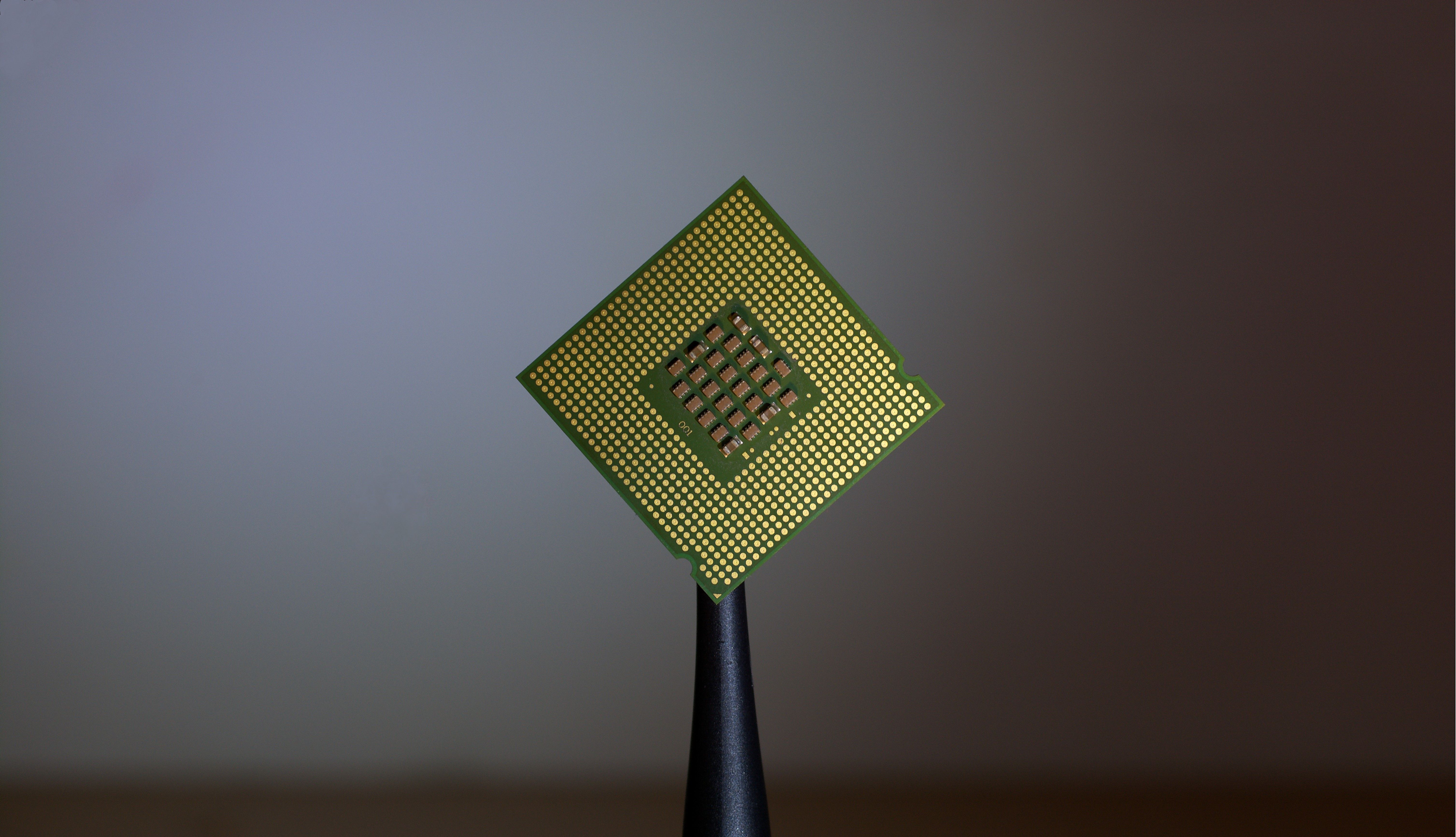 close up shot of processing chip