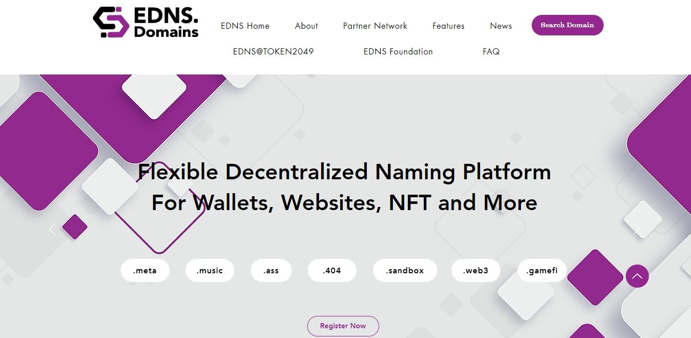 Captura de tela do site dos domínios EDNS