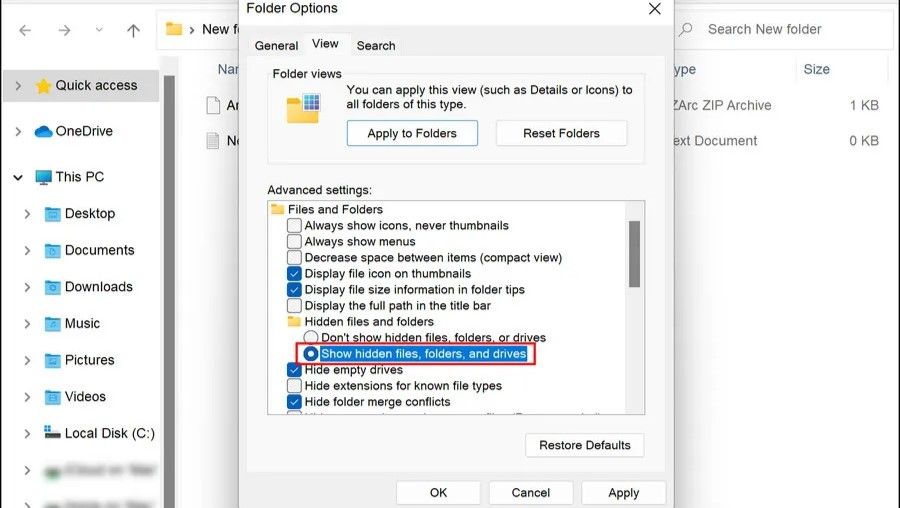 enabling the show hidden files and folders option in folder options settings
