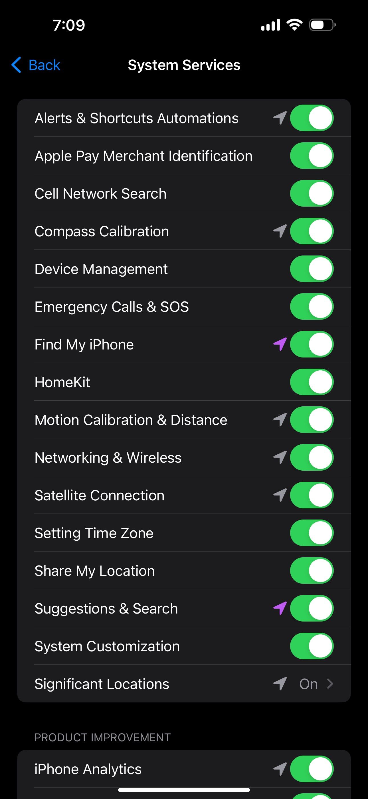System Services settings in iPhone including Find My iPhone