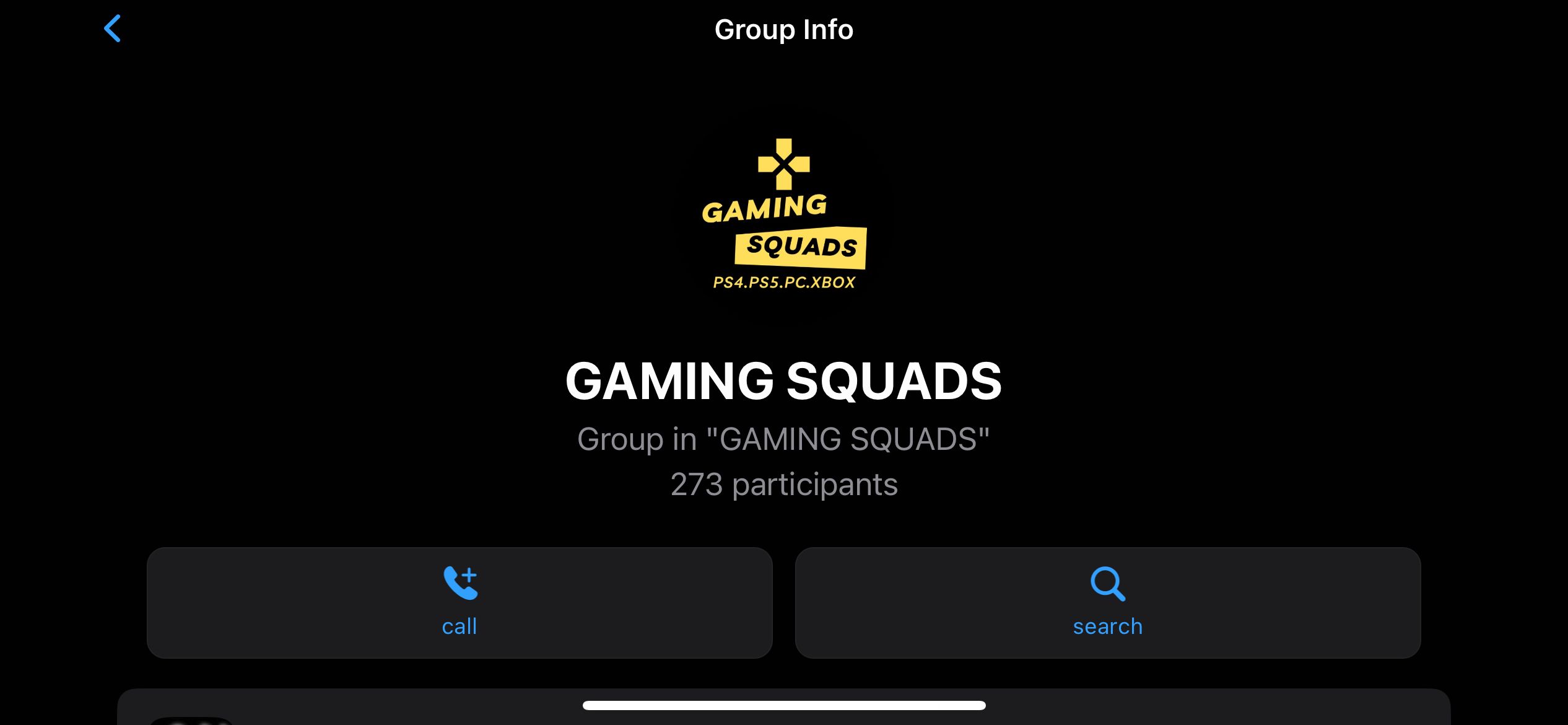Grupo Gaming Squads WhatsApp exibindo 273 participantes