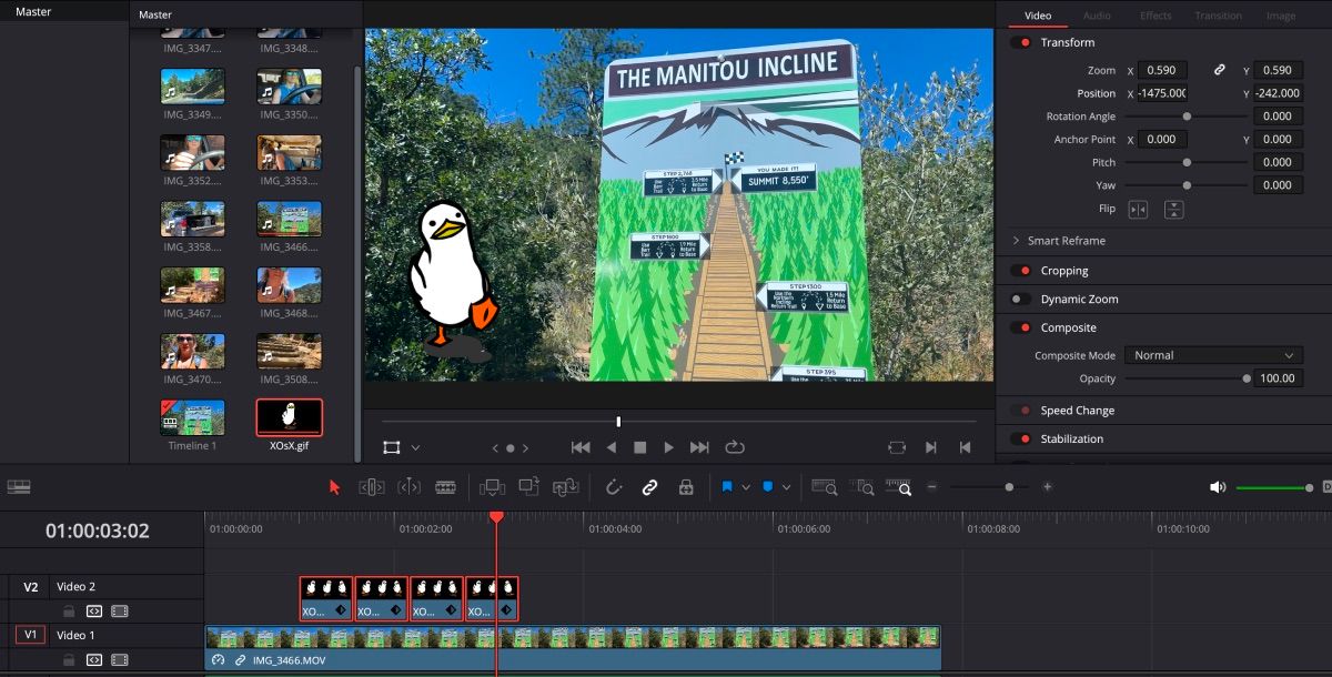 Duck GIF in Timeline and preview window on DaVinci Resolve
