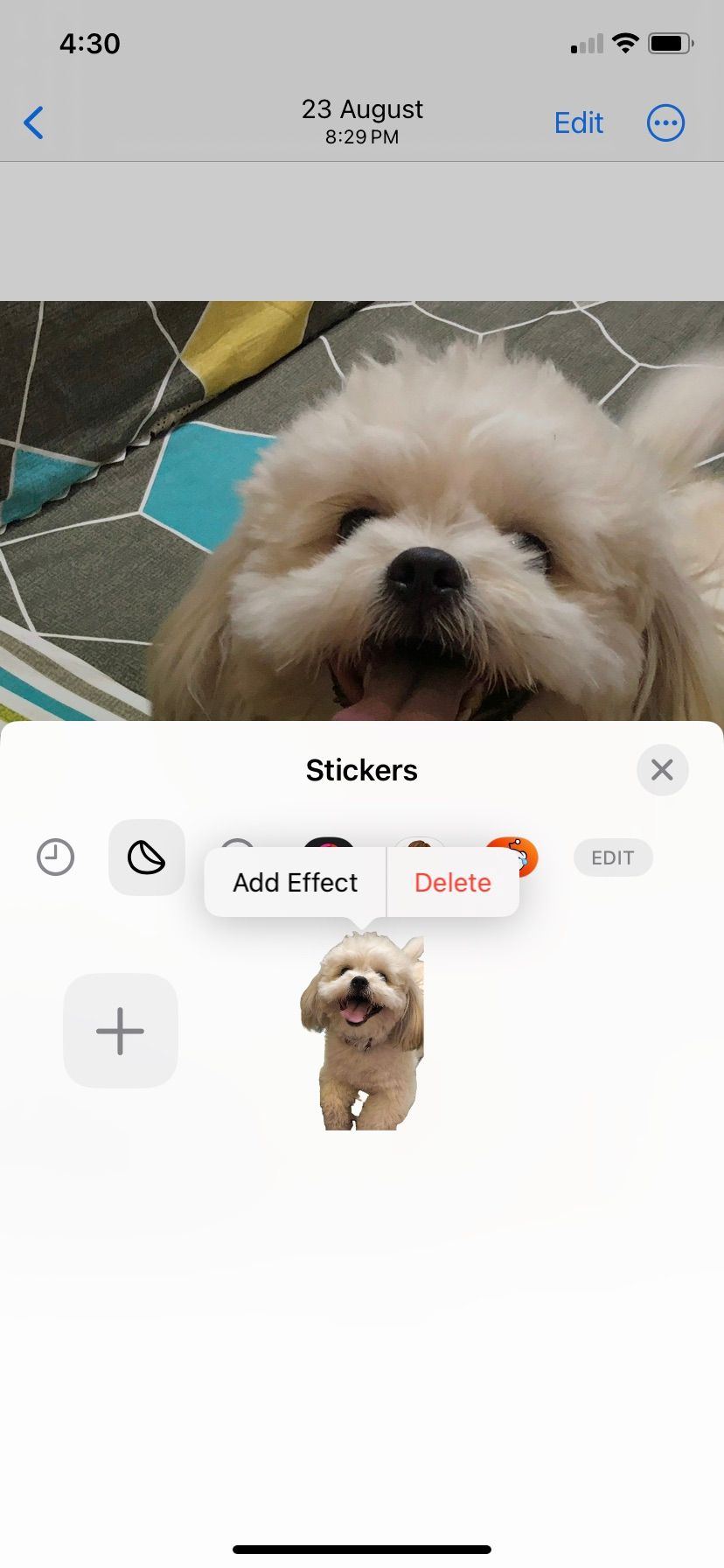 عکس برنامه iOS Photos به استیکر تبدیل شد