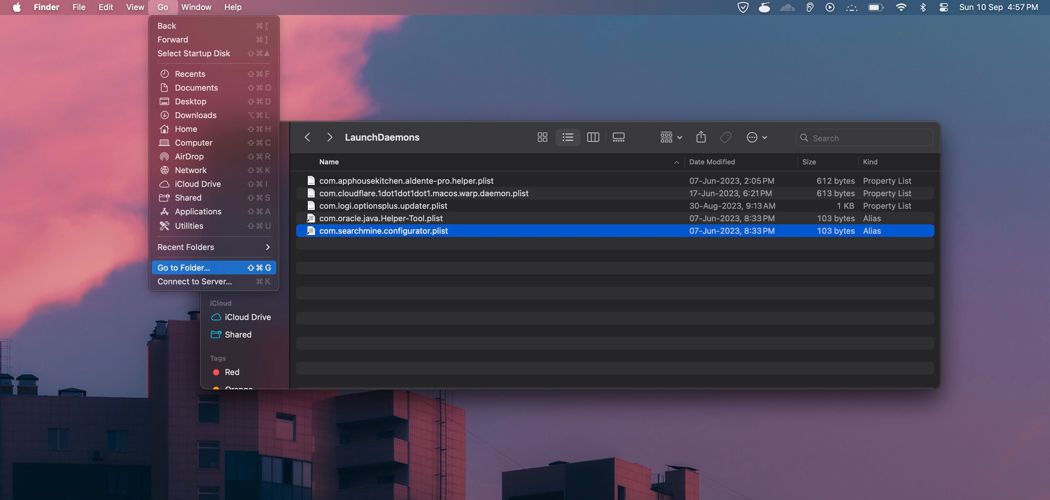 macOS Launch Daemons folder open with Go to Folder option highlighted