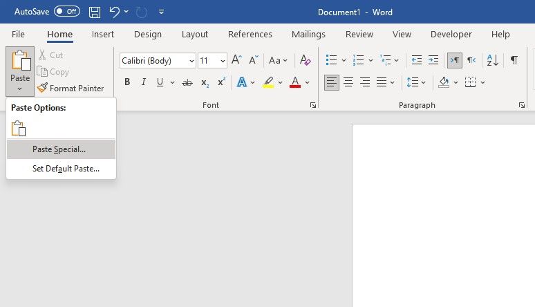 Paste Special in Microsoft Word